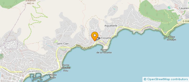 localisation de l'entreprise MONSIEUR VASILE VIZIR à LE LAVANDOU