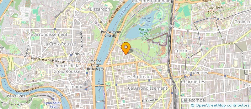 localisation de l'entreprise MONSIEUR VASILII ALESHECHKIN  LYON