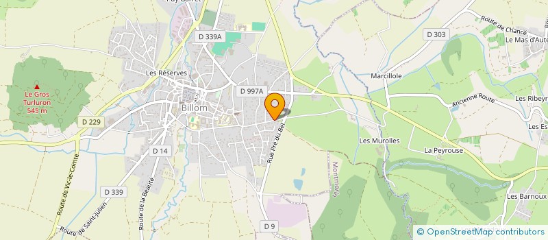 localisation de l'entreprise MONSIEUR VASKO IVANOVSKI à BILLOM
