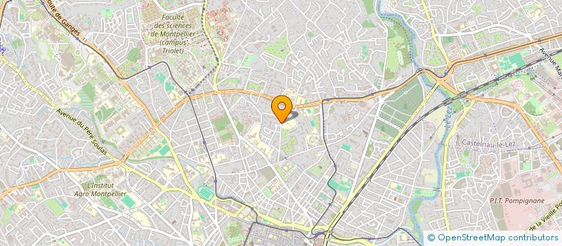 localisation de l'entreprise MONSIEUR VASSILIOS POULIANITIS à MONTPELLIER