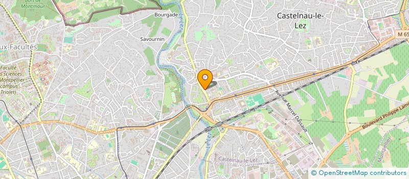 localisation de l'entreprise MONSIEUR VATSANA SAIGNAVONGSA  CASTELNAU-LE-LEZ
