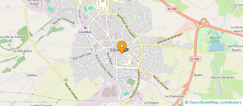 localisation de l'entreprise MONSIEUR VERONIQUE POULAIN à LOUDEAC