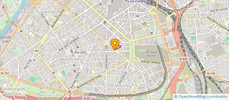 localisation de l'entreprise MONSIEUR VIANNEY MERMET à LILLE