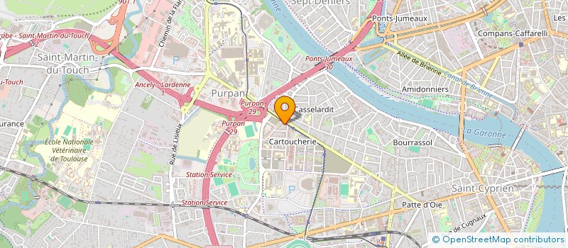 localisation de l'entreprise MONSIEUR VICENT ALONSO PONS  TOULOUSE