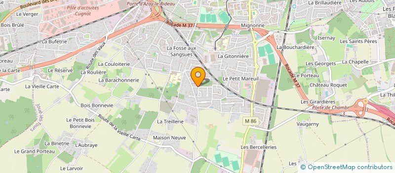 localisation de l'entreprise MONSIEUR VICENTE ALTET-MARTINEZ  JOUE-LES-TOURS