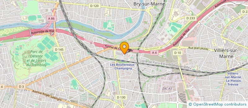 localisation de l'entreprise MONSIEUR VICENTE DE BRITO à CHAMPIGNY-SUR-MARNE