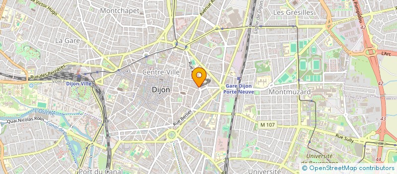 localisation de l'entreprise MONSIEUR VICTOR BOYER à DIJON