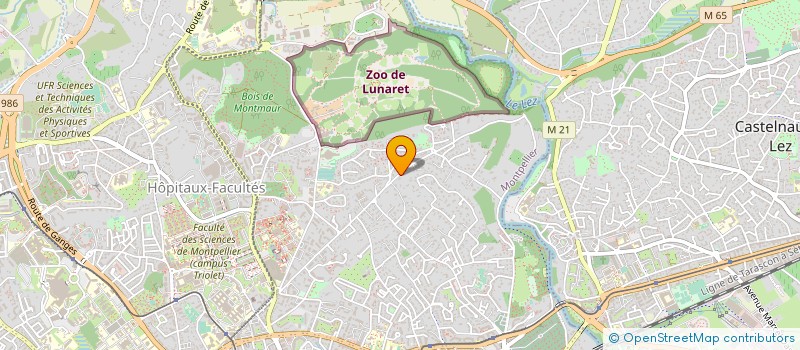 localisation de l'entreprise MONSIEUR VICTOR FANJUL à MONTPELLIER