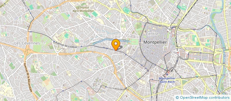 localisation de l'entreprise MONSIEUR VICTOR GALARRAGA-OROPEZA à MONTPELLIER