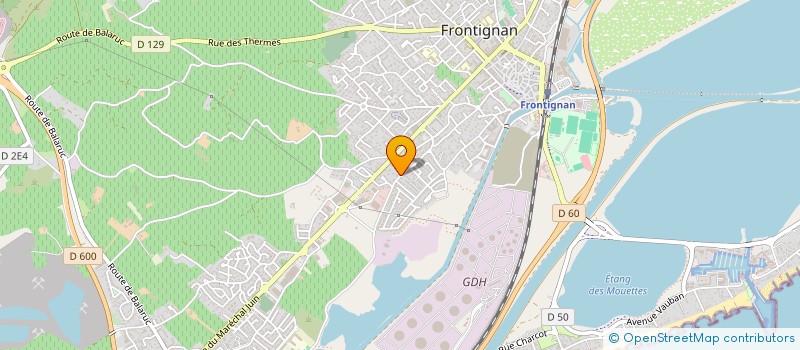 localisation de l'entreprise MONSIEUR VICTOR PEREIRA EUSEBIO MAFRA à FRONTIGNAN