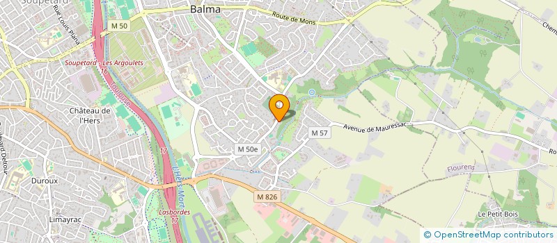 localisation de l'entreprise MONSIEUR VICTOR SALLES  BALMA