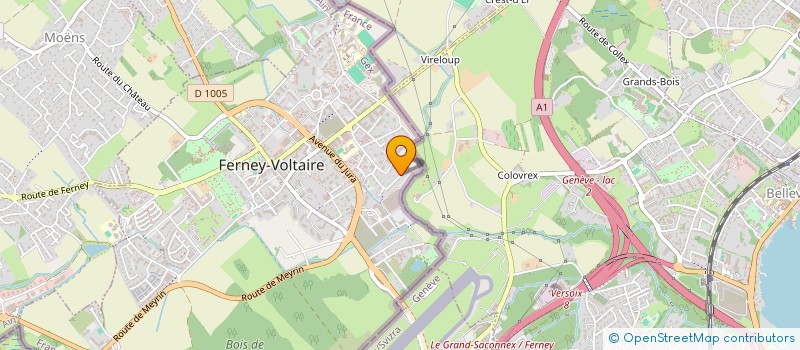 localisation de l'entreprise MONSIEUR VICTOR ULLOM à FERNEY-VOLTAIRE