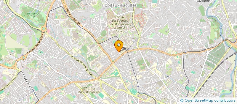 localisation de l'entreprise MONSIEUR VICTOR VANIN à MONTPELLIER