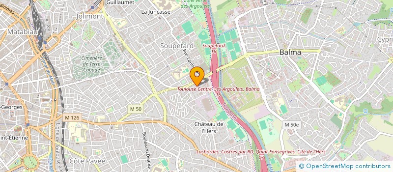 localisation de l'entreprise MONSIEUR VICTOR VOSMAER  TOULOUSE