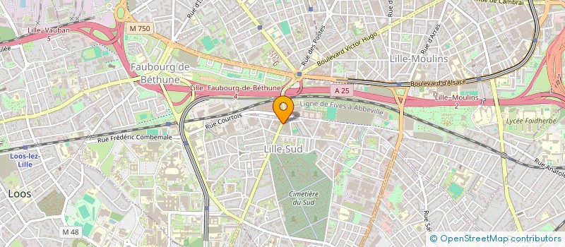 localisation de l'entreprise MONSIEUR VIGNON HOUEKPOEHA  LILLE