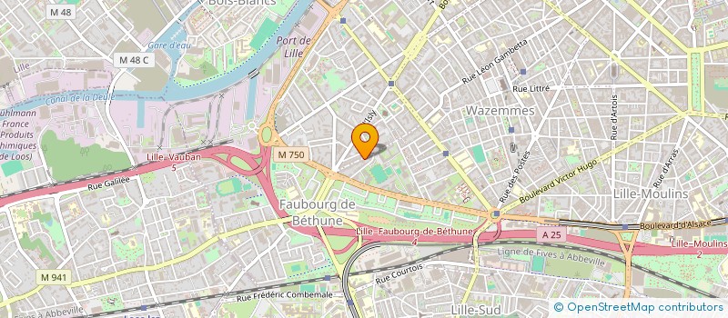 localisation de l'entreprise MONSIEUR VIKTAR BABITSKI à LILLE