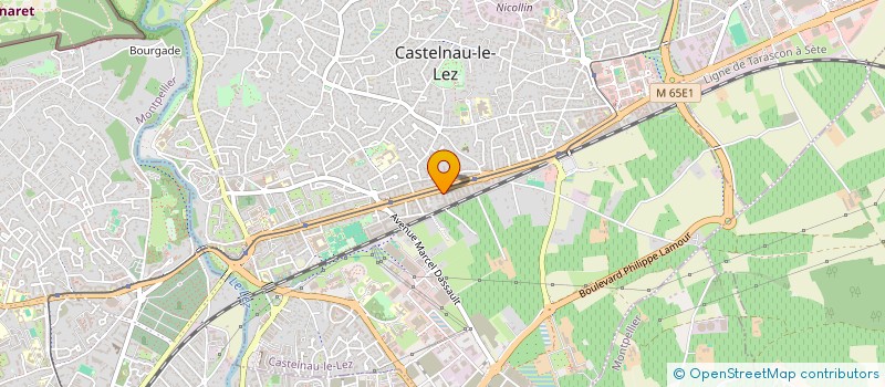 localisation de l'entreprise MONSIEUR VIKTOR MELCHER  CASTELNAU-LE-LEZ