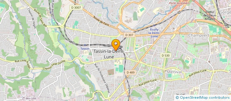 localisation de l'entreprise MONSIEUR VINCENT BASTIE  TASSIN-LA-DEMI-LUNE