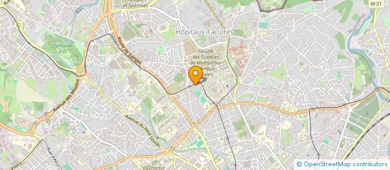 localisation de l'entreprise MONSIEUR VINCENT BECUWE à MONTPELLIER