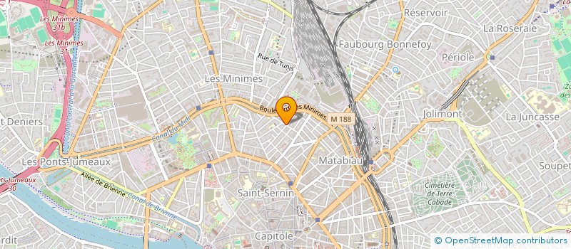 localisation de l'entreprise MONSIEUR VINCENT BORGHESE à TOULOUSE