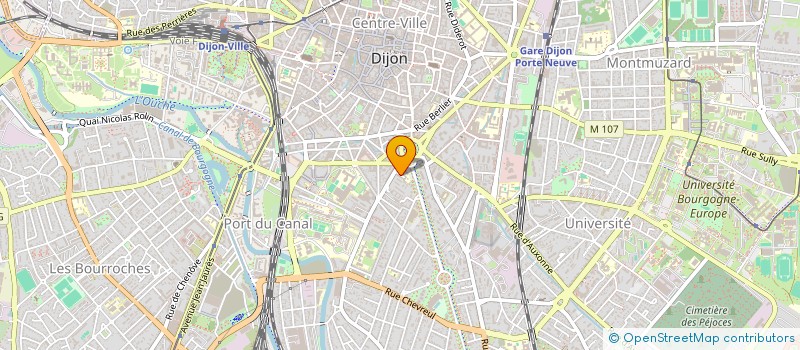 localisation de l'entreprise MONSIEUR VINCENT BOUCHOT  DIJON