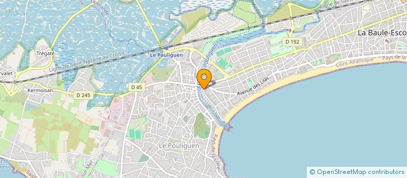 localisation de l'entreprise MONSIEUR VINCENT BOUSCAUD à LA BAULE-ESCOUBLAC