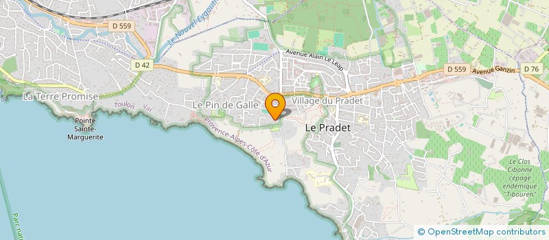 localisation de l'entreprise MONSIEUR VINCENT CANIONI  LE PRADET