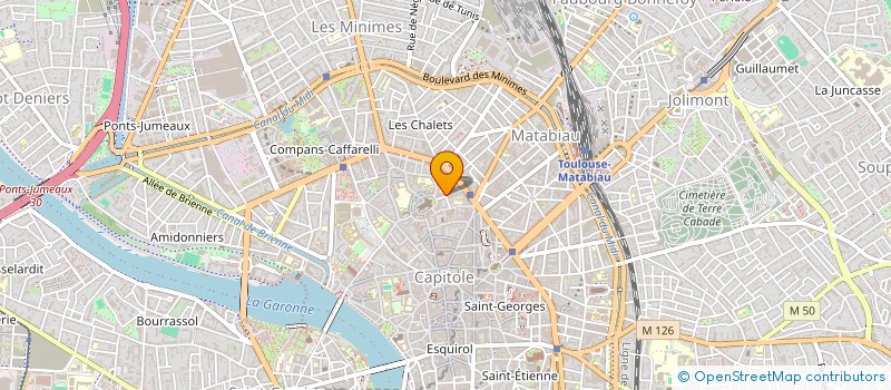 localisation de l'entreprise MONSIEUR VINCENT CARPENET  TOULOUSE