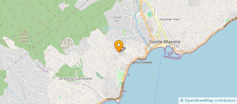 localisation de l'entreprise MONSIEUR VINCENT CHAPAPRIA à SAINTE-MAXIME