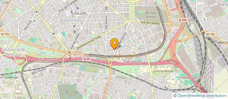 localisation de l'entreprise MONSIEUR VINCENT COLLINA à LILLE