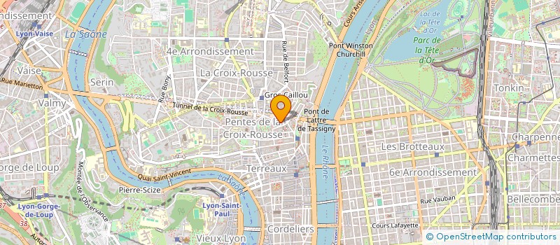 localisation de l'entreprise MONSIEUR VINCENT DAFFIX  LYON