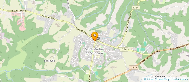 localisation de l'entreprise MONSIEUR VINCENT DARTHEZ  SAINT-MARTIN-DE-SEIGNANX