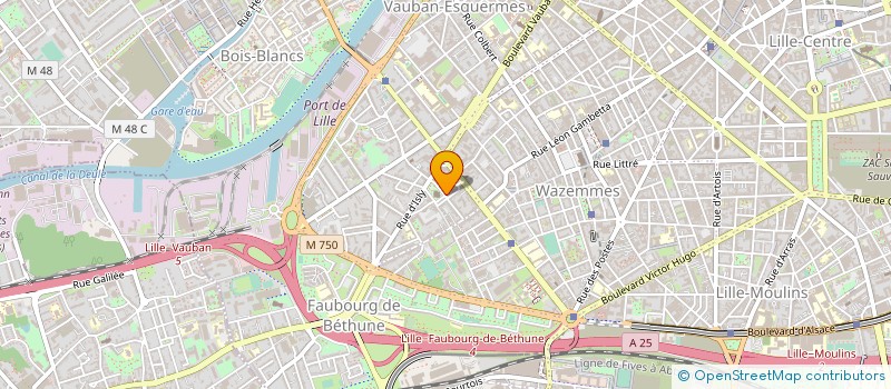 localisation de l'entreprise MONSIEUR VINCENT DELECROIX à LILLE