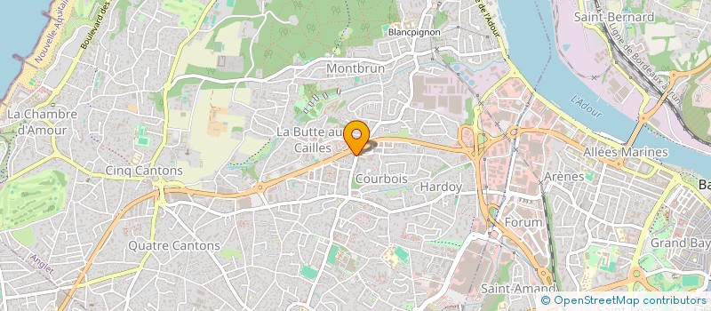 localisation de l'entreprise MONSIEUR VINCENT DELLA-LIBERA  ANGLET