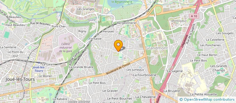 localisation de l'entreprise MONSIEUR VINCENT DELPECH à JOUE-LES-TOURS