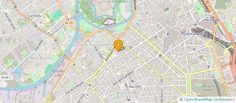 localisation de l'entreprise MONSIEUR VINCENT DOUBLET  LILLE