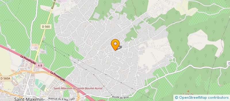 localisation de l'entreprise MONSIEUR VINCENT DUJARDIN à SAINT-MAXIMIN-LA-SAINTE-BAUME