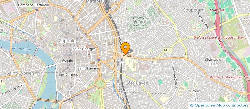 localisation de l'entreprise MONSIEUR VINCENT DUMAS-CROUZILLAC  TOULOUSE