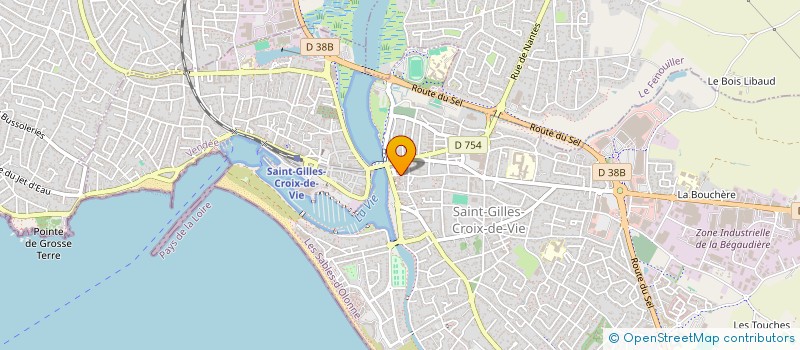 localisation de l'entreprise MONSIEUR VINCENT ELINEAU  SAINT-GILLES-CROIX-DE-VIE