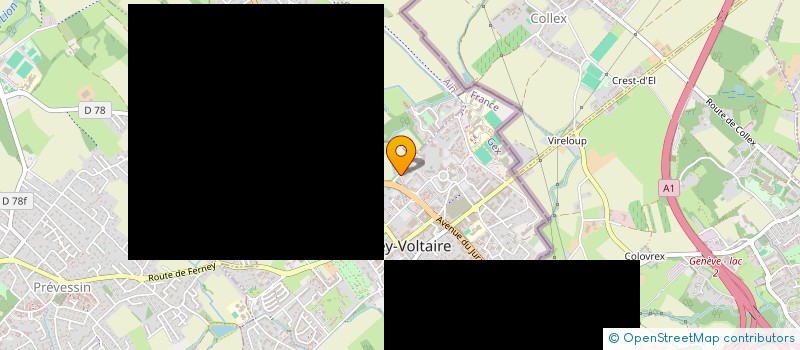 localisation de l'entreprise MONSIEUR VINCENT FOESSEL à FERNEY-VOLTAIRE