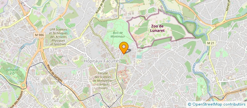 localisation de l'entreprise MONSIEUR VINCENT FONDANESCHE à MONTPELLIER