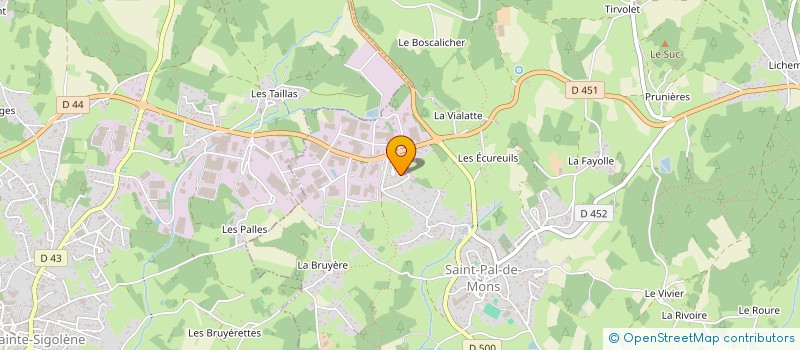 localisation de l'entreprise MONSIEUR VINCENT FOURNEL  SAINT-PAL-DE-MONS