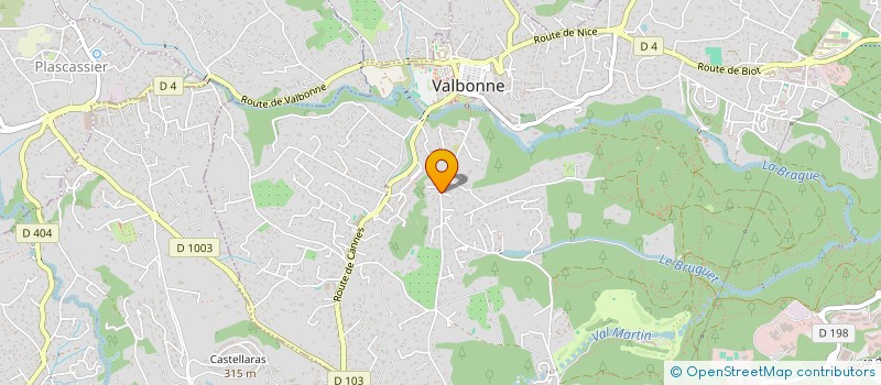 localisation de l'entreprise MONSIEUR VINCENT FRANCESCHINI à VALBONNE