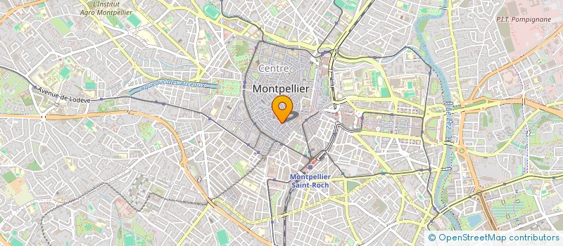 localisation de l'entreprise MONSIEUR VINCENT GUILLAUME à MONTPELLIER