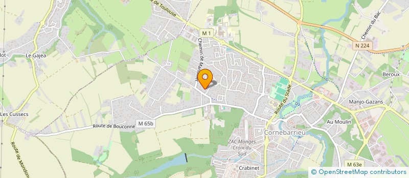 localisation de l'entreprise MONSIEUR VINCENT GUILLAUME à BLAGNAC