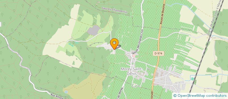 localisation de l'entreprise MONSIEUR VINCENT JEANNIARD à MOREY-SAINT-DENIS