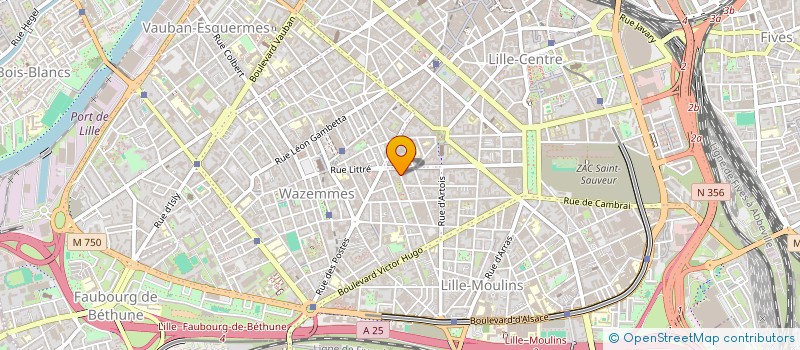 localisation de l'entreprise MONSIEUR VINCENT LEBAS  LILLE