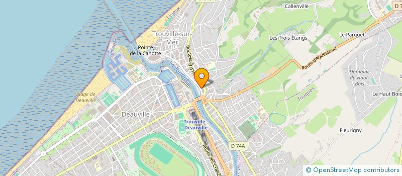 localisation de l'entreprise MONSIEUR VINCENT LECARPENTIER  TROUVILLE-SUR-MER