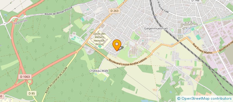 localisation de l'entreprise MONSIEUR VINCENT LEDIG  HAGUENAU