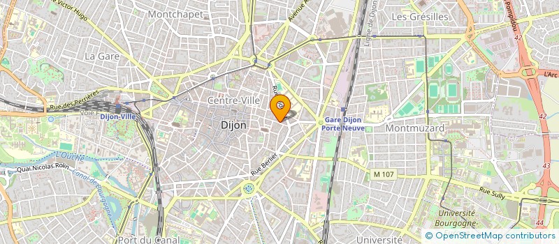 localisation de l'entreprise MONSIEUR VINCENT MAILLARD  DIJON